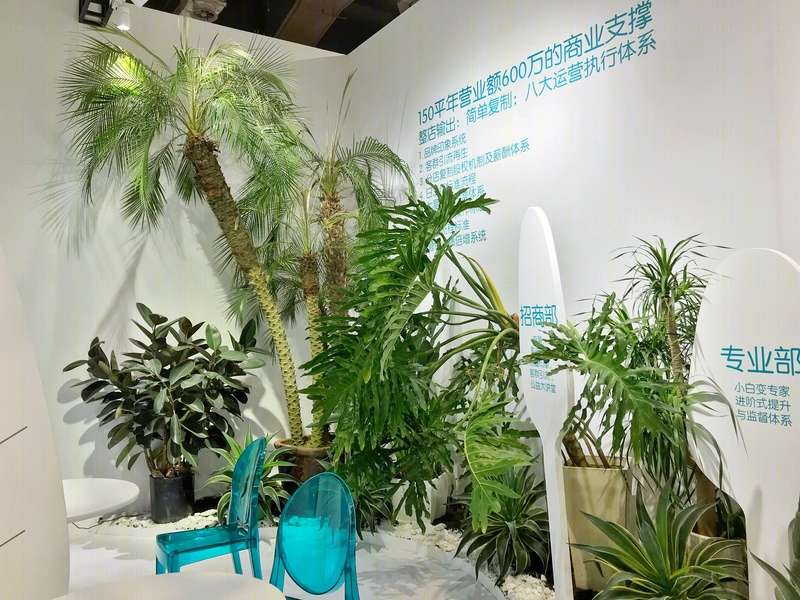 考拉先生产后恢复中心 2019 上海母婴展——自然之美，沟通之效-12