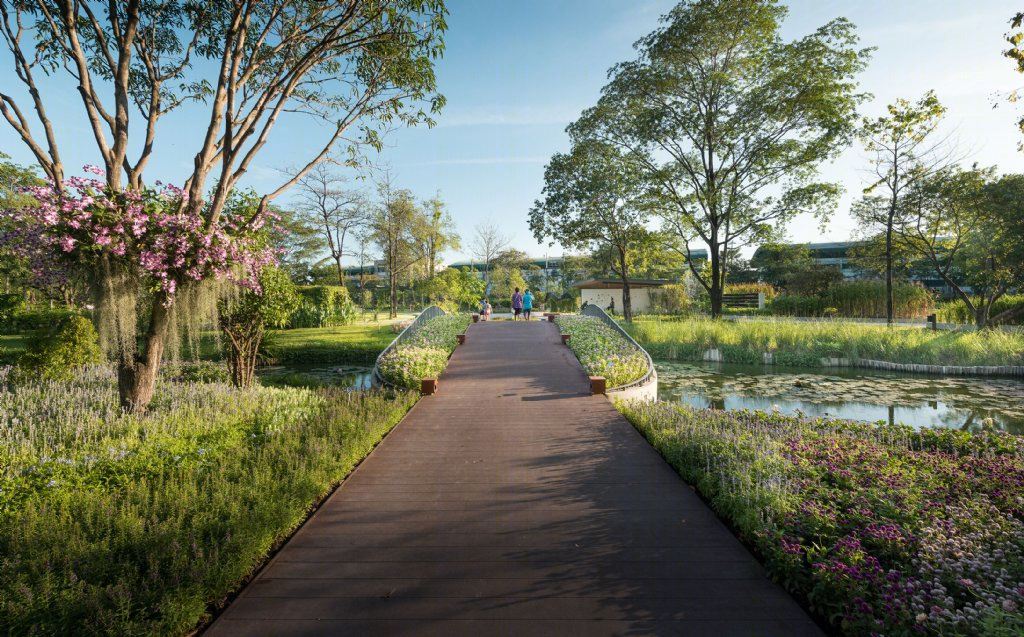 泰国药用植物园景观丨Landscape Architects of Bangkok（LAB）-14