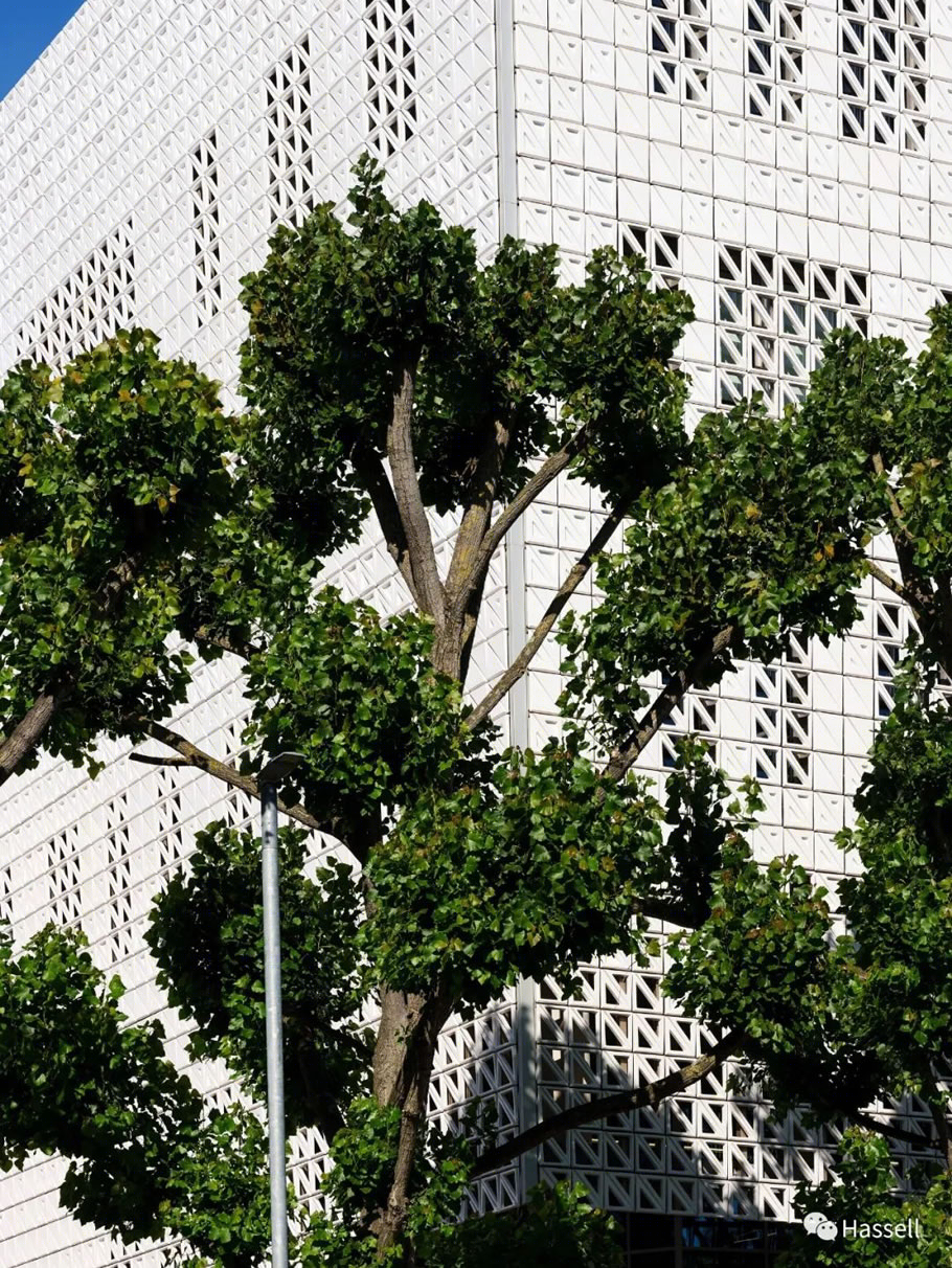 布莱顿大学商学院丨英国丨Hassell-17