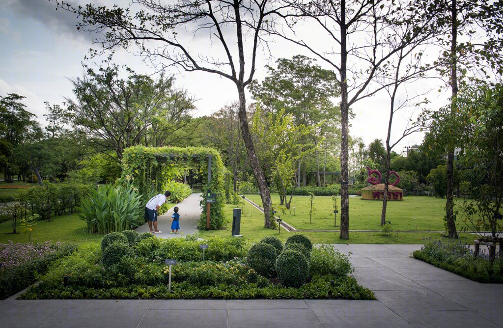 泰国药用植物园景观丨Landscape Architects of Bangkok（LAB）-15