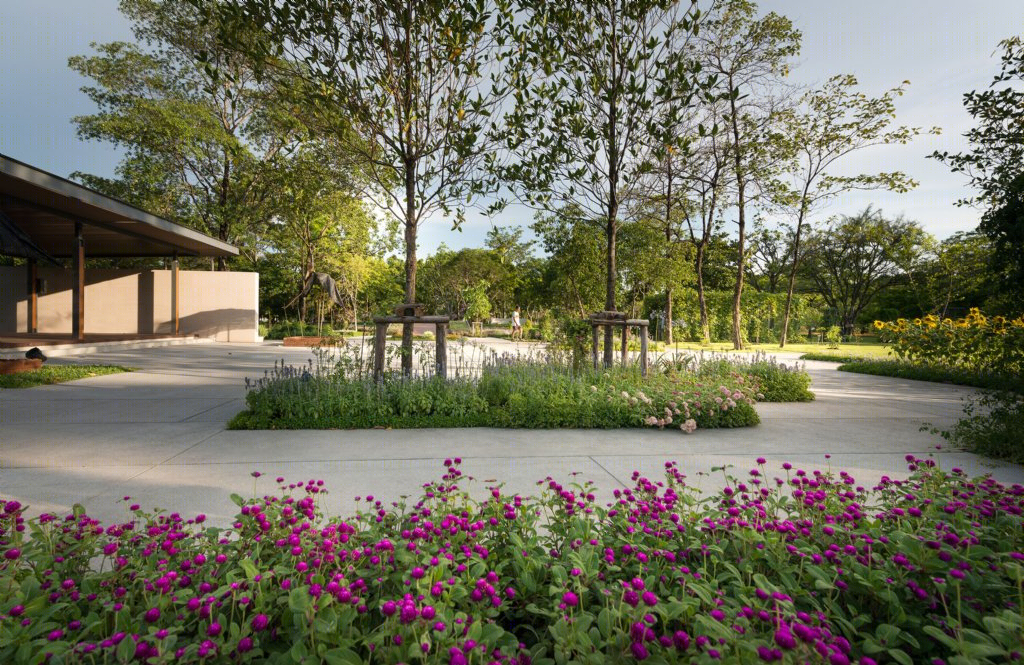 泰国药用植物园景观丨Landscape Architects of Bangkok(LAB)-16