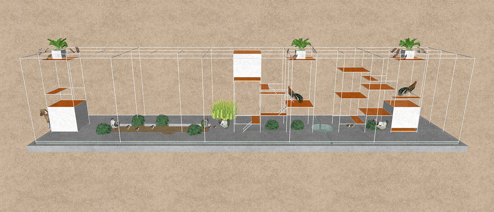 Tropical Space,鸡舍-37