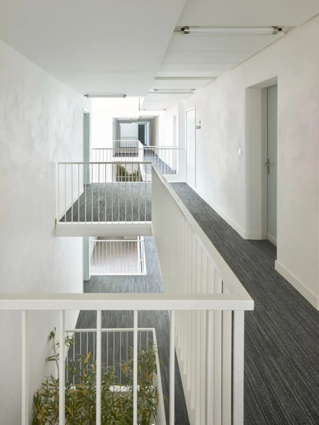 Caractère 住宅丨法国丨Taillandier 建筑事务所-50