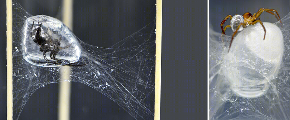 仿生纤维复合材料建筑 | 斯图加特大学 ICD/ITKE 研究亭-26
