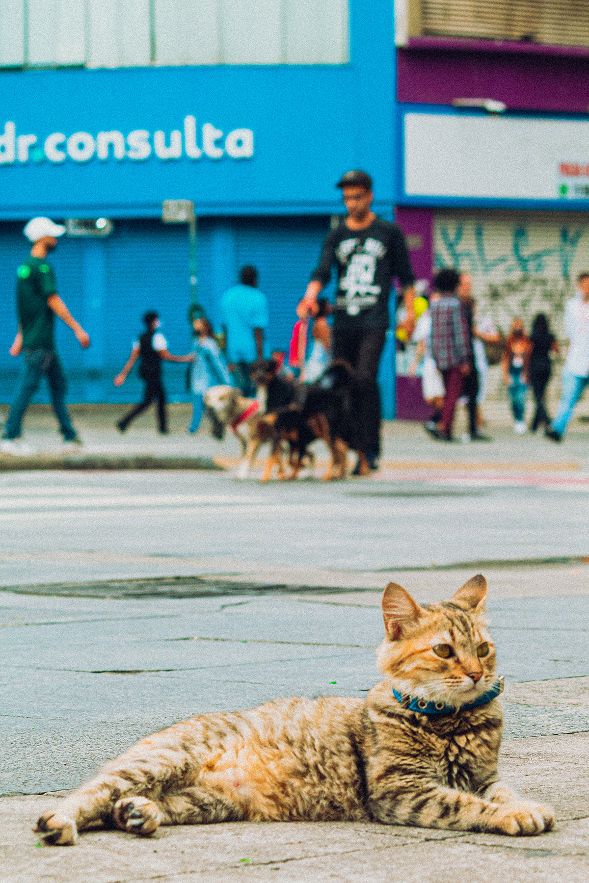 商业街区 Andando pelo centro de SP-9