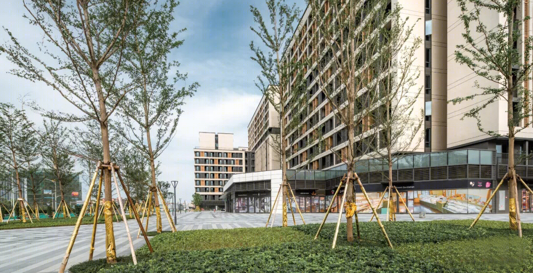 广州市花都区住宅景观-9
