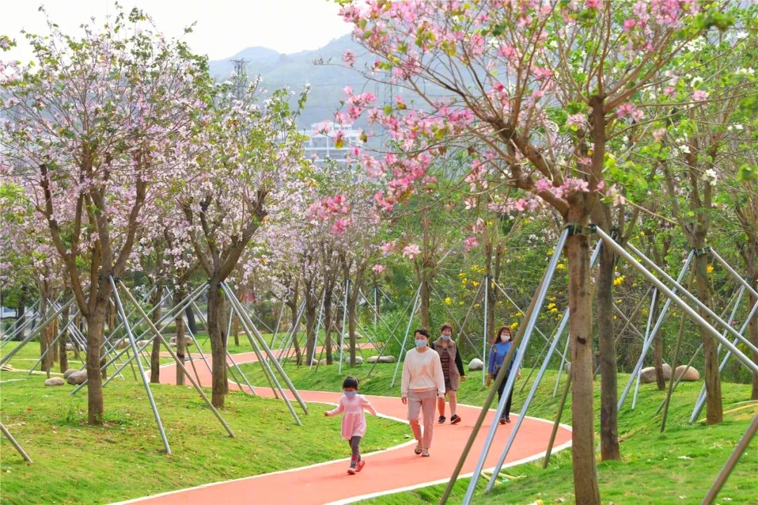 深圳大鹏新区“山·水”文化生态康氧主题绿道设计丨中国深圳丨新城市设计-20