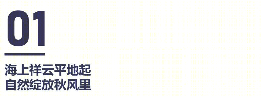 海口国际免税城丨中国海口丨法国 VP 团队-3