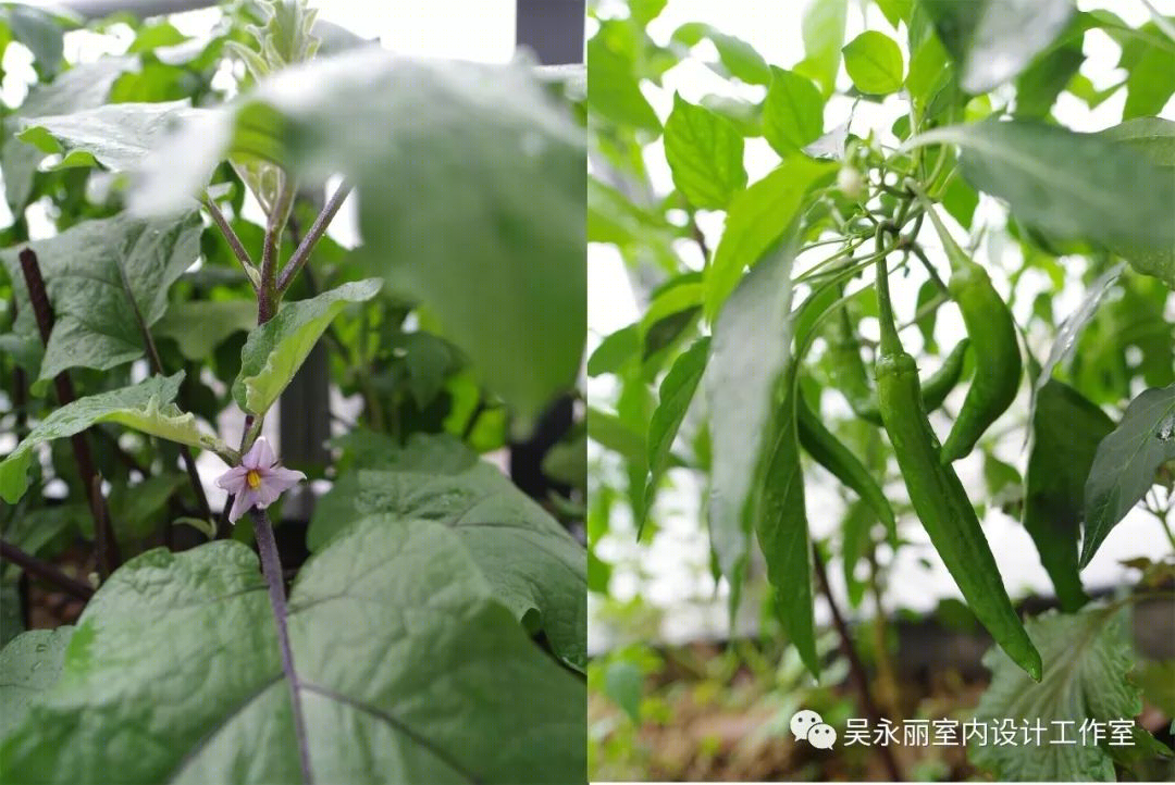 190 平米清茶生活，结构改造与自然光线完美融合-52