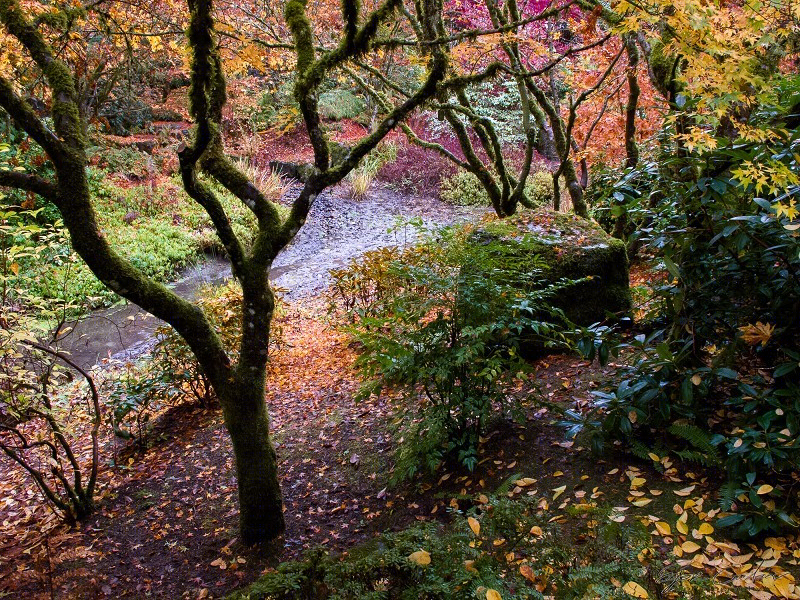 美国贝尔维尤植物园（America Bellevue Botanical Garden）-13