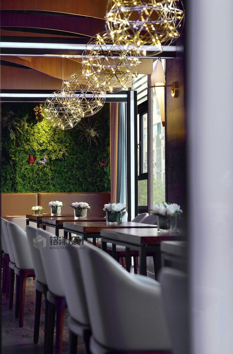 星罗千象-19
