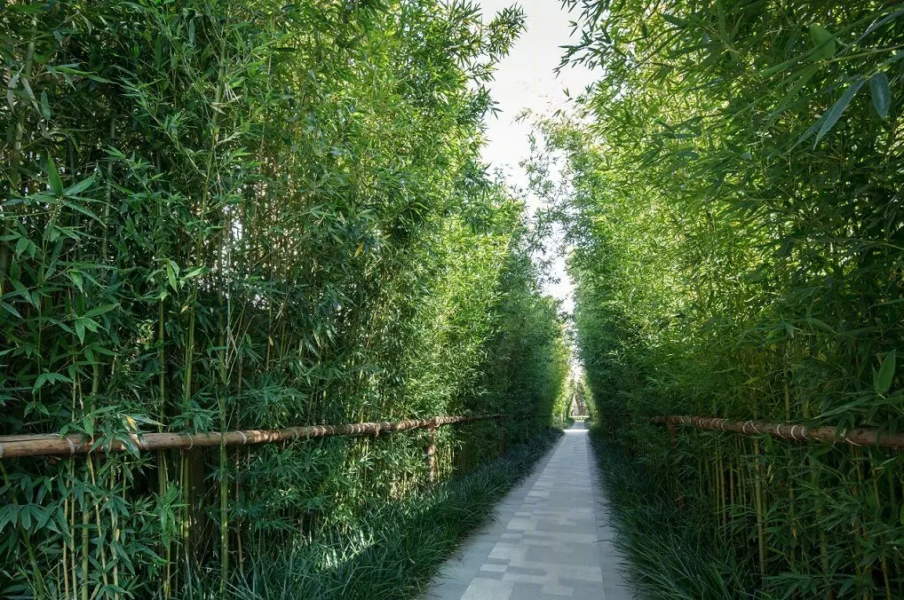丽江天瑞豪生度假区景观-17