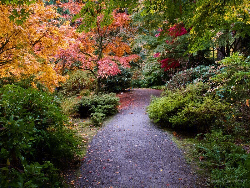 美国贝尔维尤植物园(America Bellevue Botanical Garden)-15