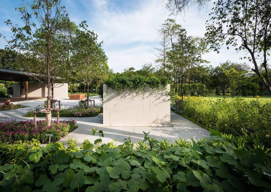 泰国药用植物园景观丨Landscape Architects of Bangkok（LAB）-17