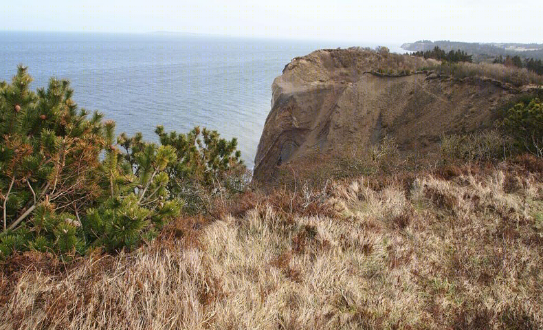 丹麦 Fur 海峡观景台——现代简约风格的海景盛宴-8