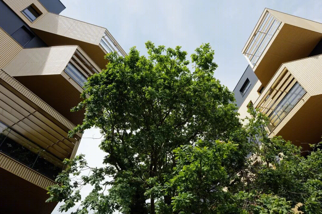 “交错金字塔”住宅公寓 | 适应性强的北立面设计-28