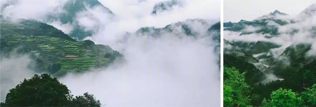 武侠风丽水隐世民宿，原木侘寂之美-25