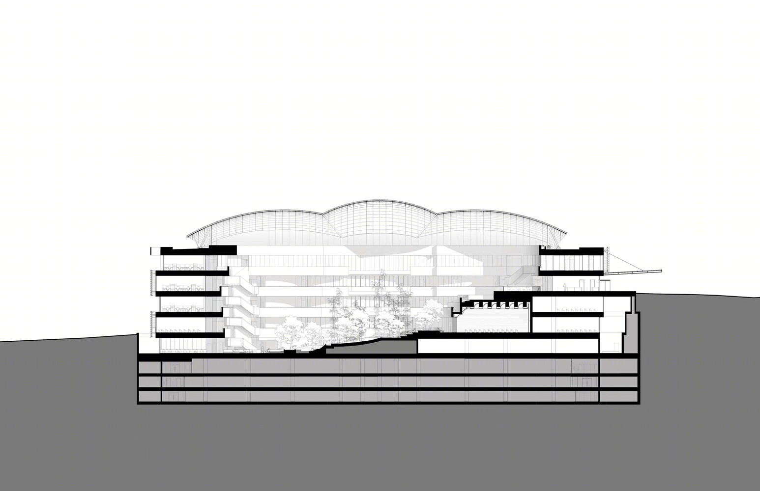 巴西阿尔伯特·爱因斯坦教育研究中心丨巴西圣保罗丨Safdie Architects-42