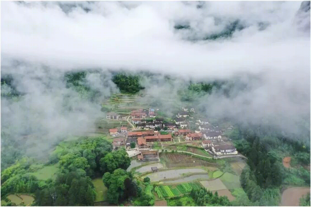武侠风丽水隐世民宿，原木侘寂之美-28