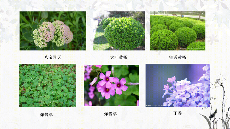 绿地别墅-13