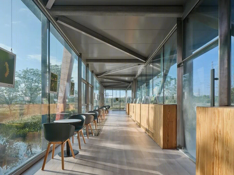 悬亭丨中国深圳丨同济大学建筑设计研究院(集团)有限公司原作设计工作室-31