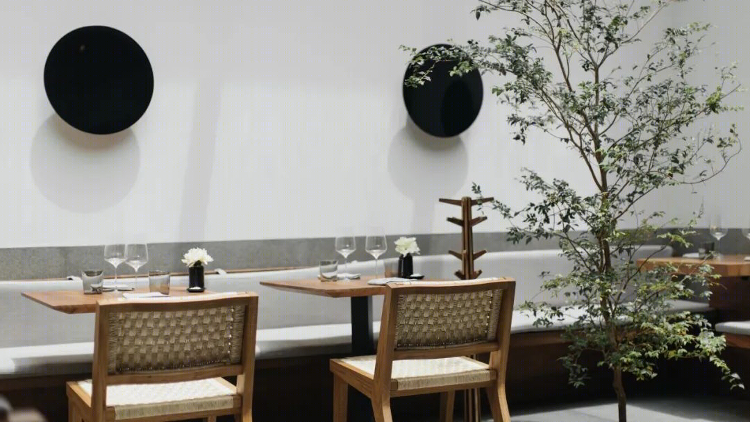 墨西哥 PUJOL 餐厅丨墨西哥墨西哥城丨JSa 工作室-27