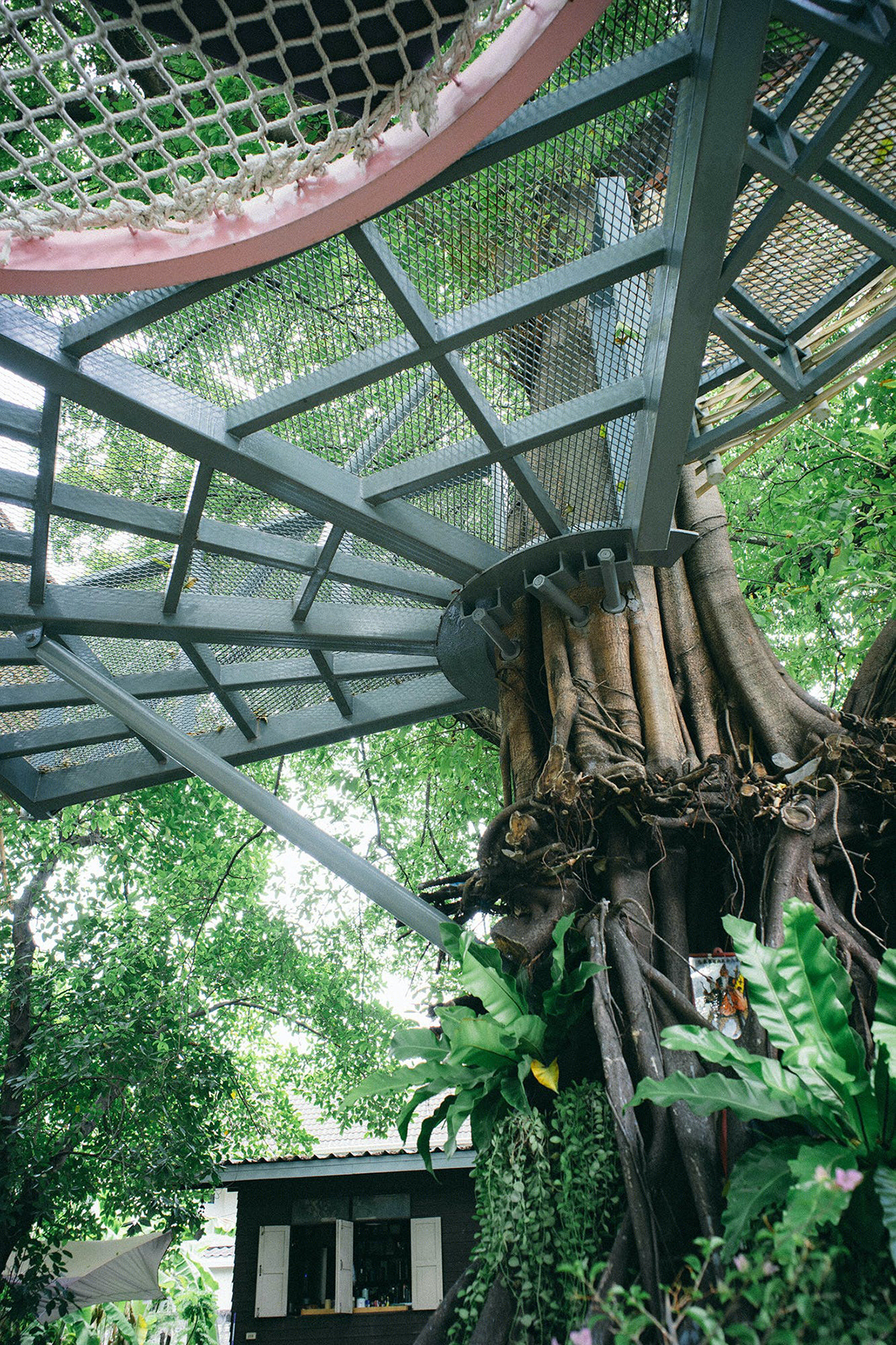 Treescape · 社区空间翻新丨泰国曼谷丨不详-7