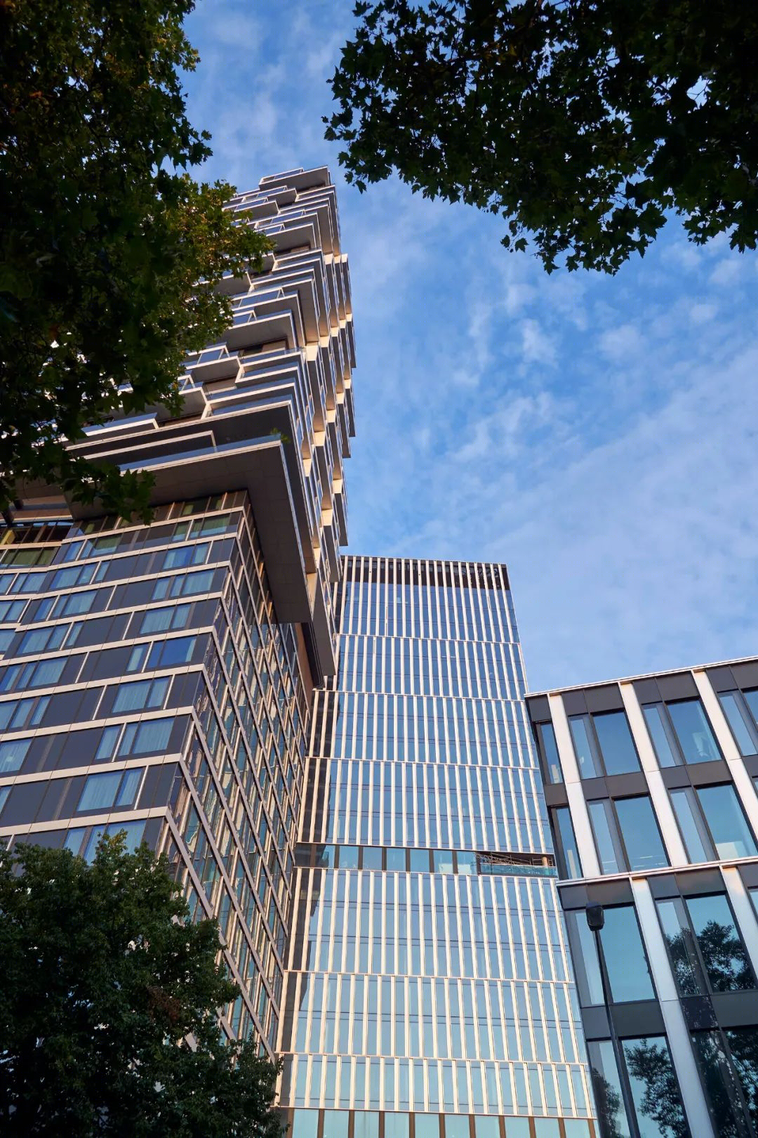 森肯贝格大厦丨德国丨Cyrus Moser Architects-12