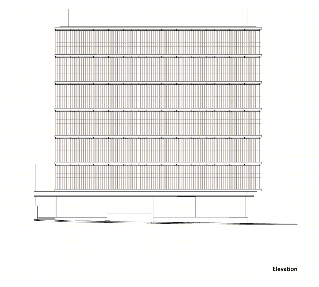 墨西哥 LoMa Chapalita 办公楼丨Elías Rizo Architects-33