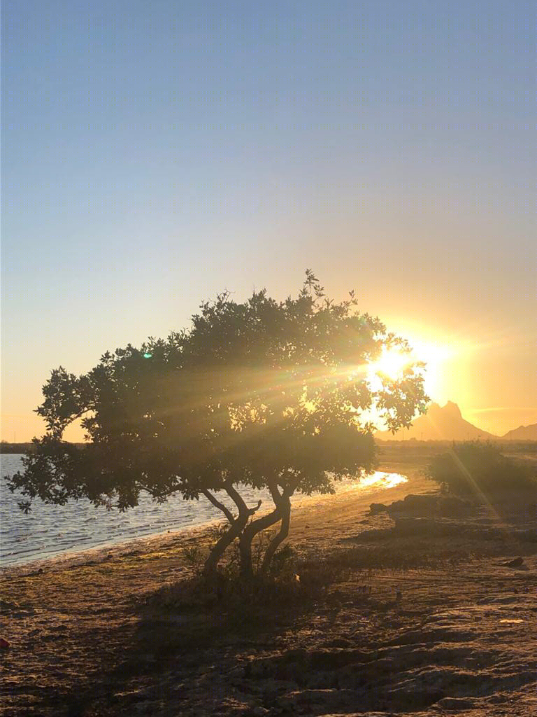 Sonora México-3