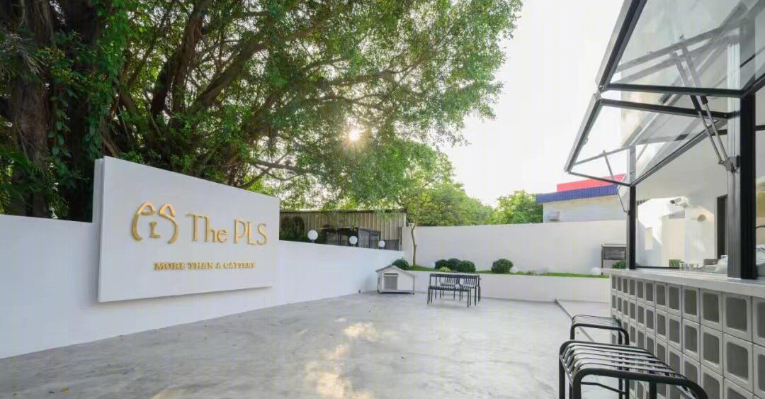 The PLS 请设计商店-1