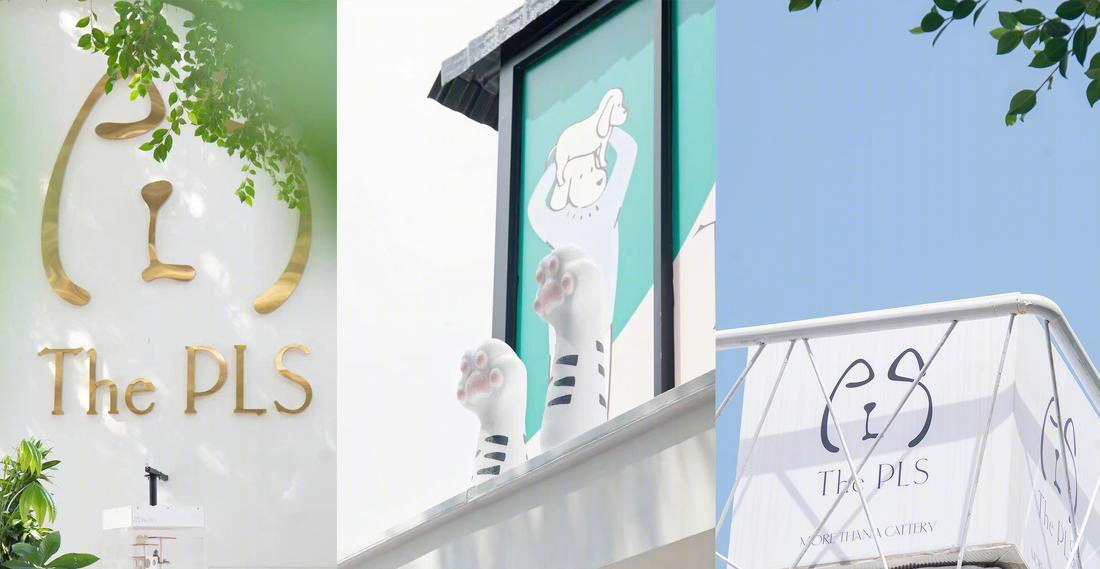 The PLS 请设计商店-2