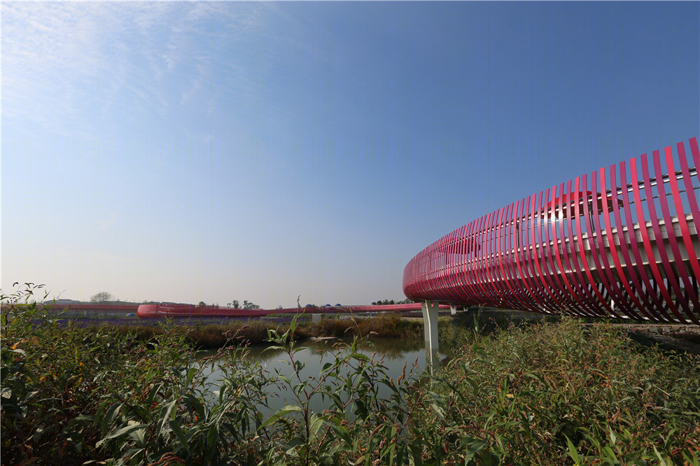 宿迁三台山衲田花海景观-15