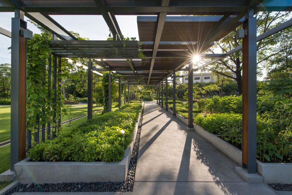 泰国药用植物园景观丨Landscape Architects of Bangkok（LAB）-19