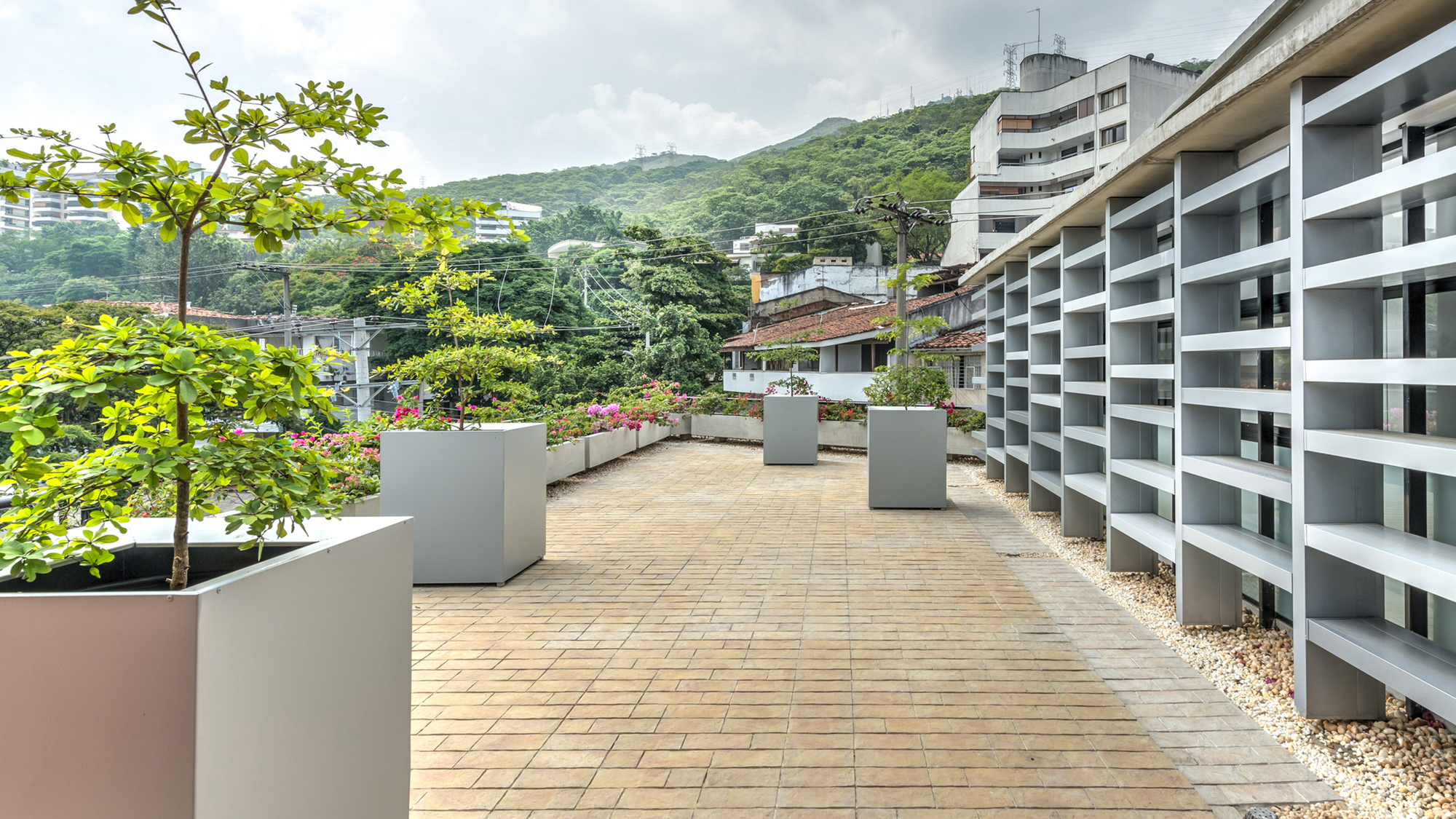 哥伦比亚光谱大厦丨Espacio Colectivo Arquitectos-18