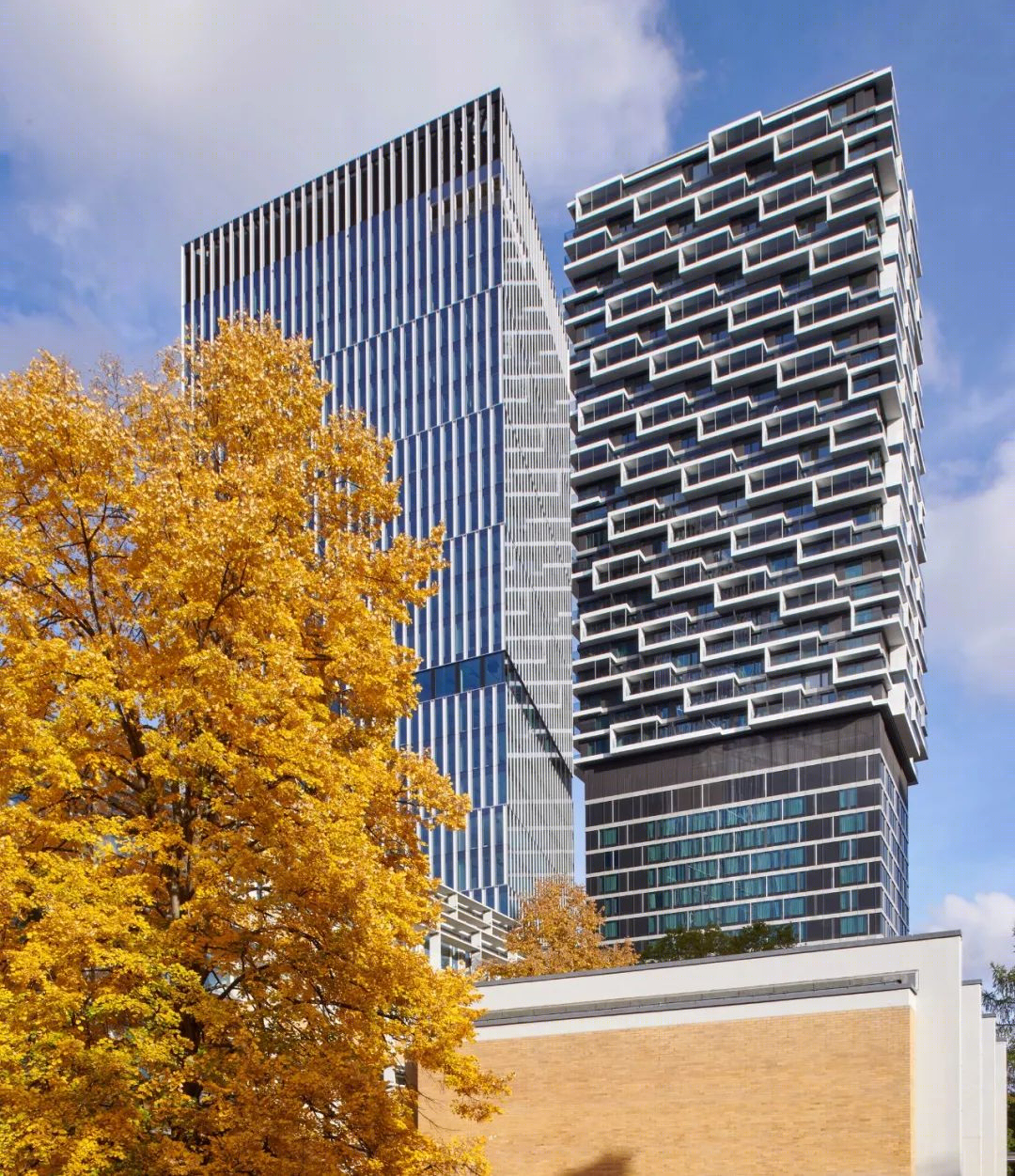 森肯贝格大厦丨德国丨Cyrus Moser Architects-18