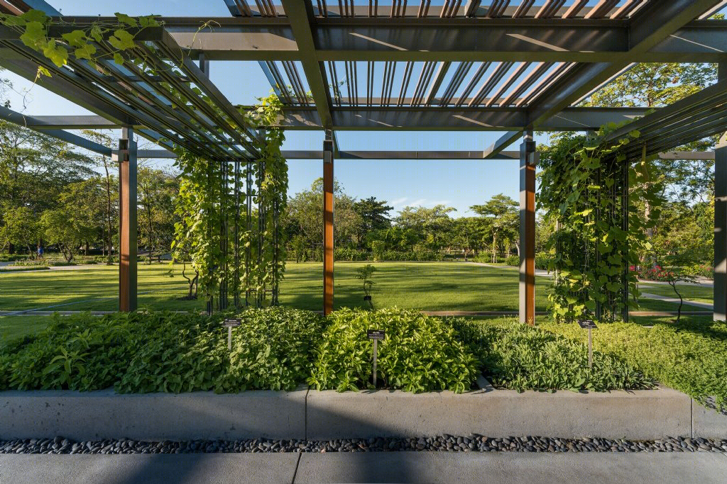 泰国药用植物园景观丨Landscape Architects of Bangkok(LAB)-20
