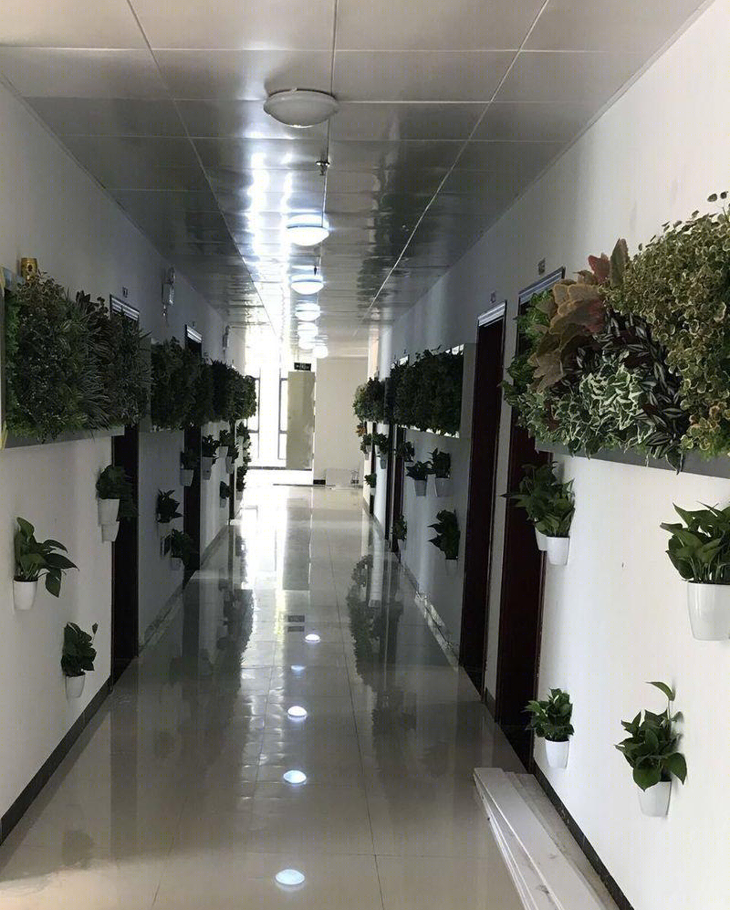 拥有生态及仿真植物的墙体花园-17