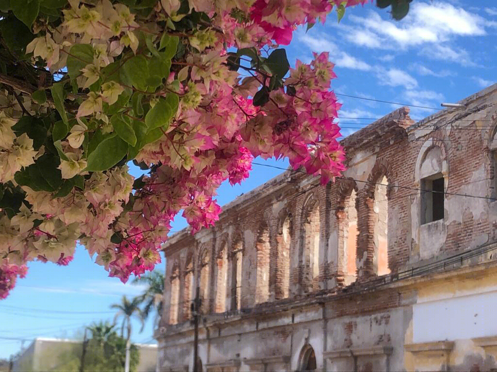 Sonora México-5