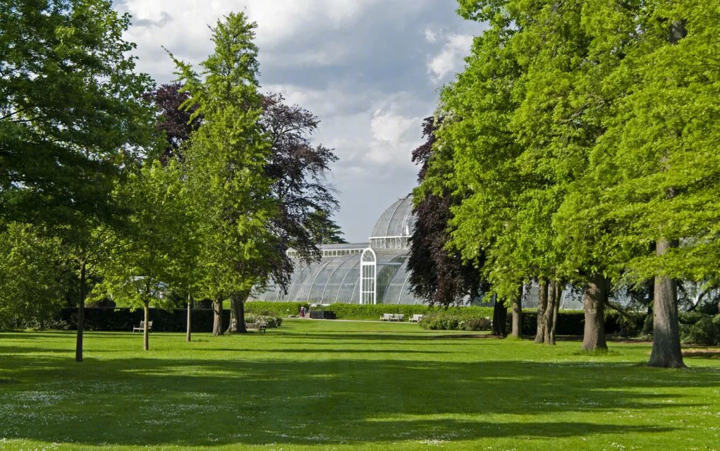 英国皇家植物园——世界文化遗产的绿色秘境-21