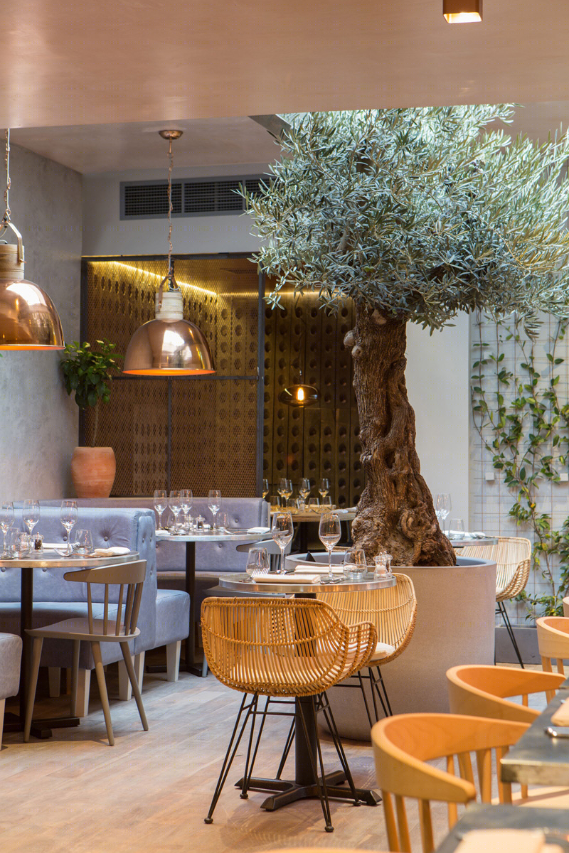 伦敦 Bandol 餐厅-42
