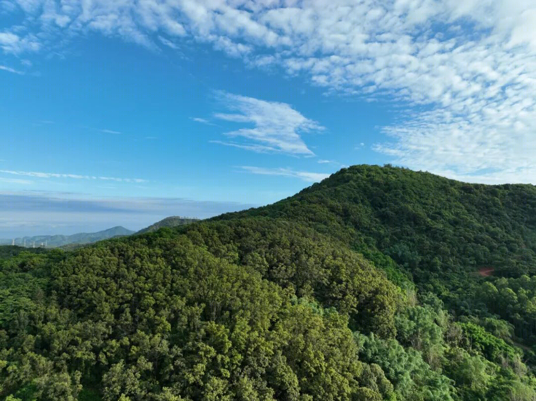 越秀联投知识城·居山涧丨中国广州-82