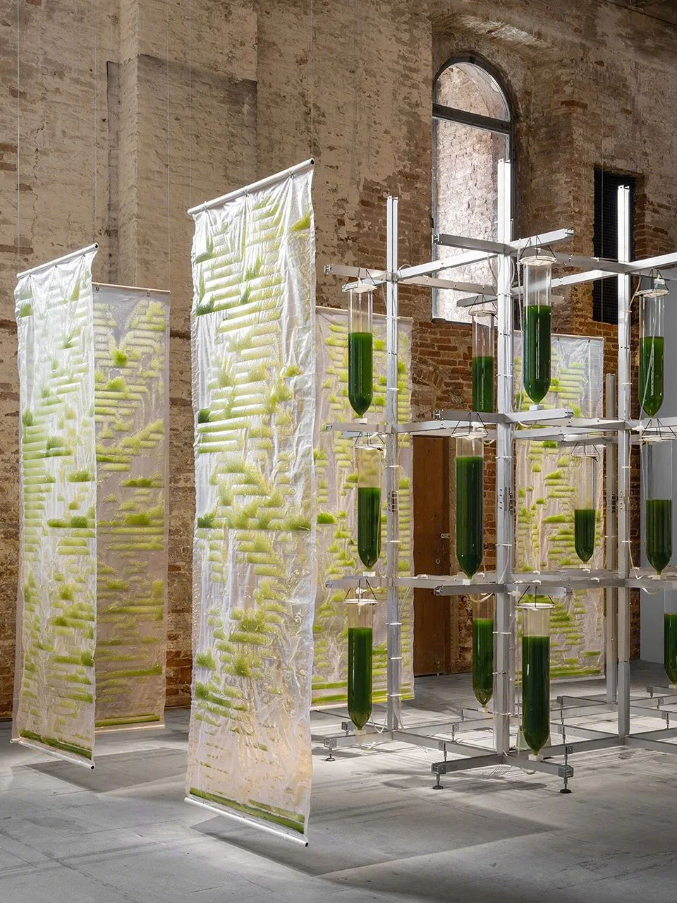 威尼斯建筑双年展上的生物实验装置·BIT·BIO·BOT丨法国尼斯丨ecoLogicStudio-0