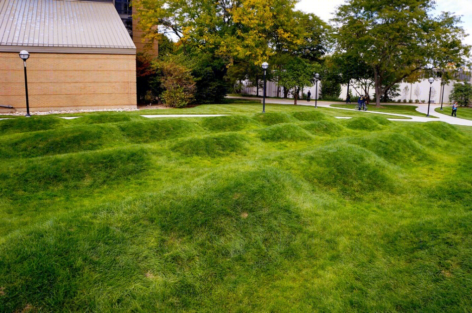 美国绿色波形草坪(America Green Wave Lawn)-13