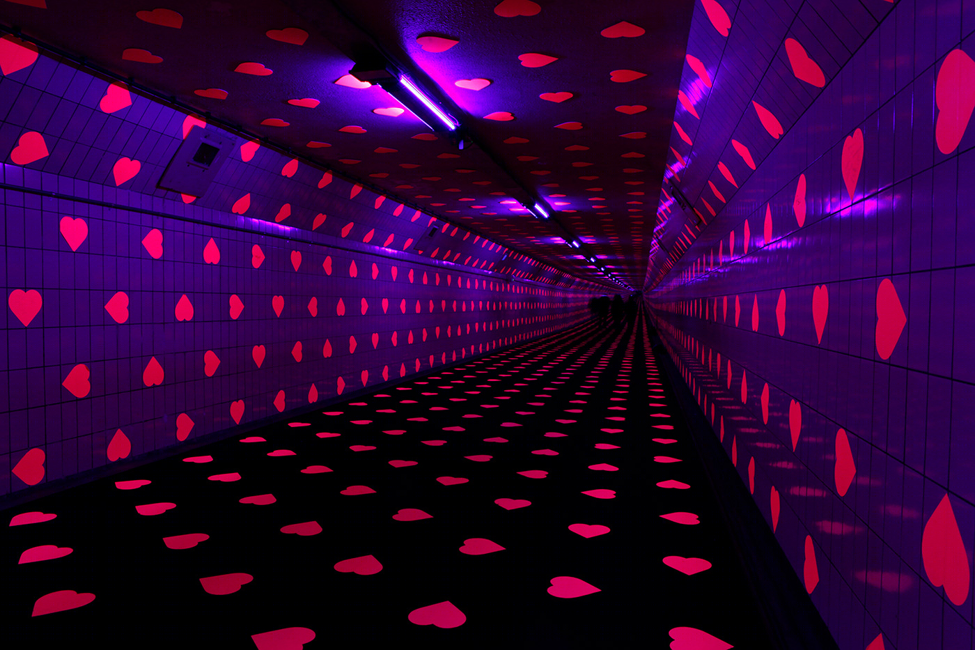 荷兰鹿特丹“爱之隧道”丨VOLLAERSZWART-15