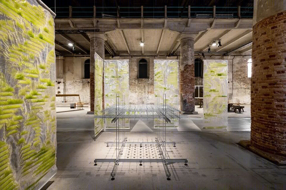 威尼斯建筑双年展上的生物实验装置·BIT·BIO·BOT丨法国尼斯丨ecoLogicStudio-9