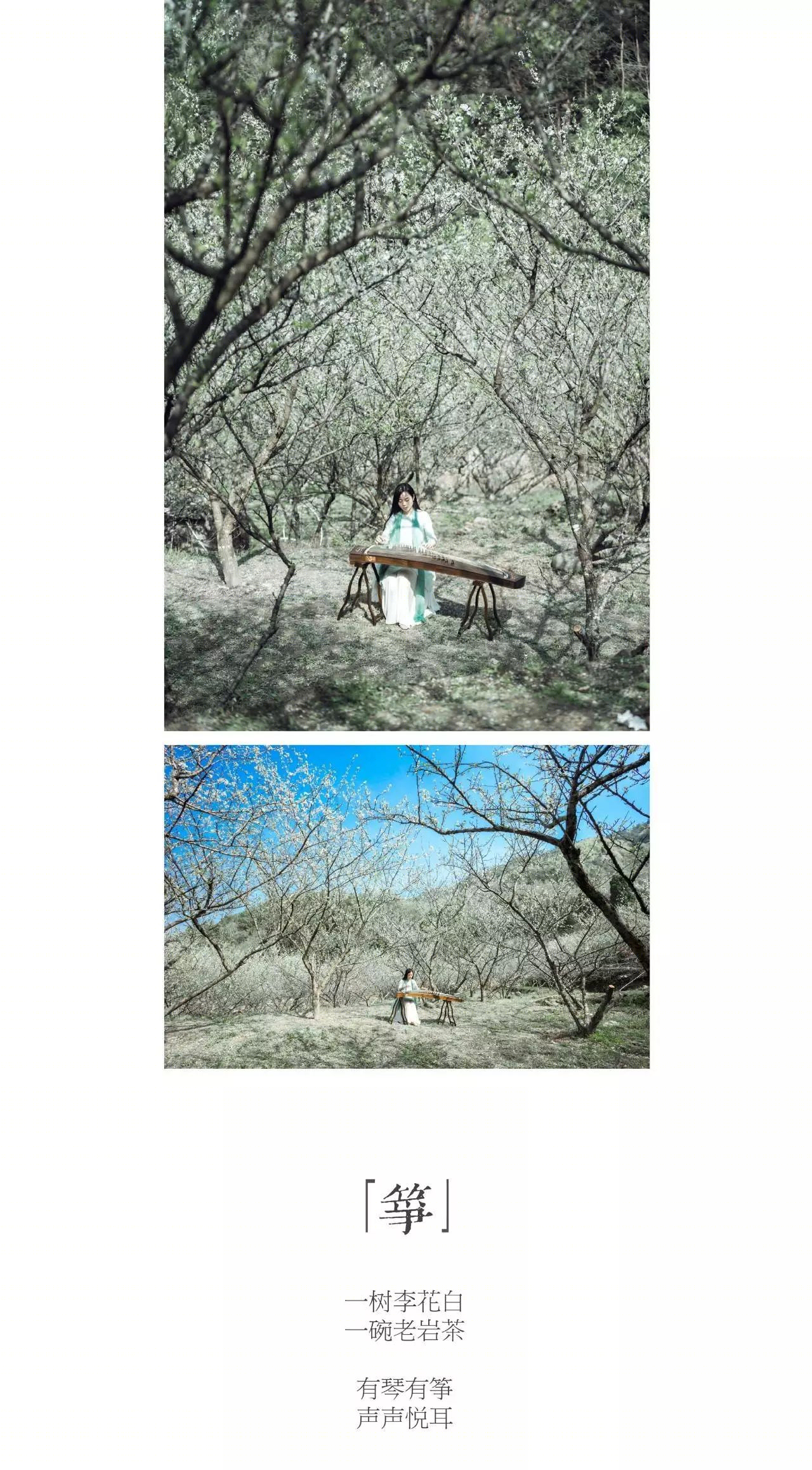 雁山云野花事 | 自然之美与生活的艺术交融-36