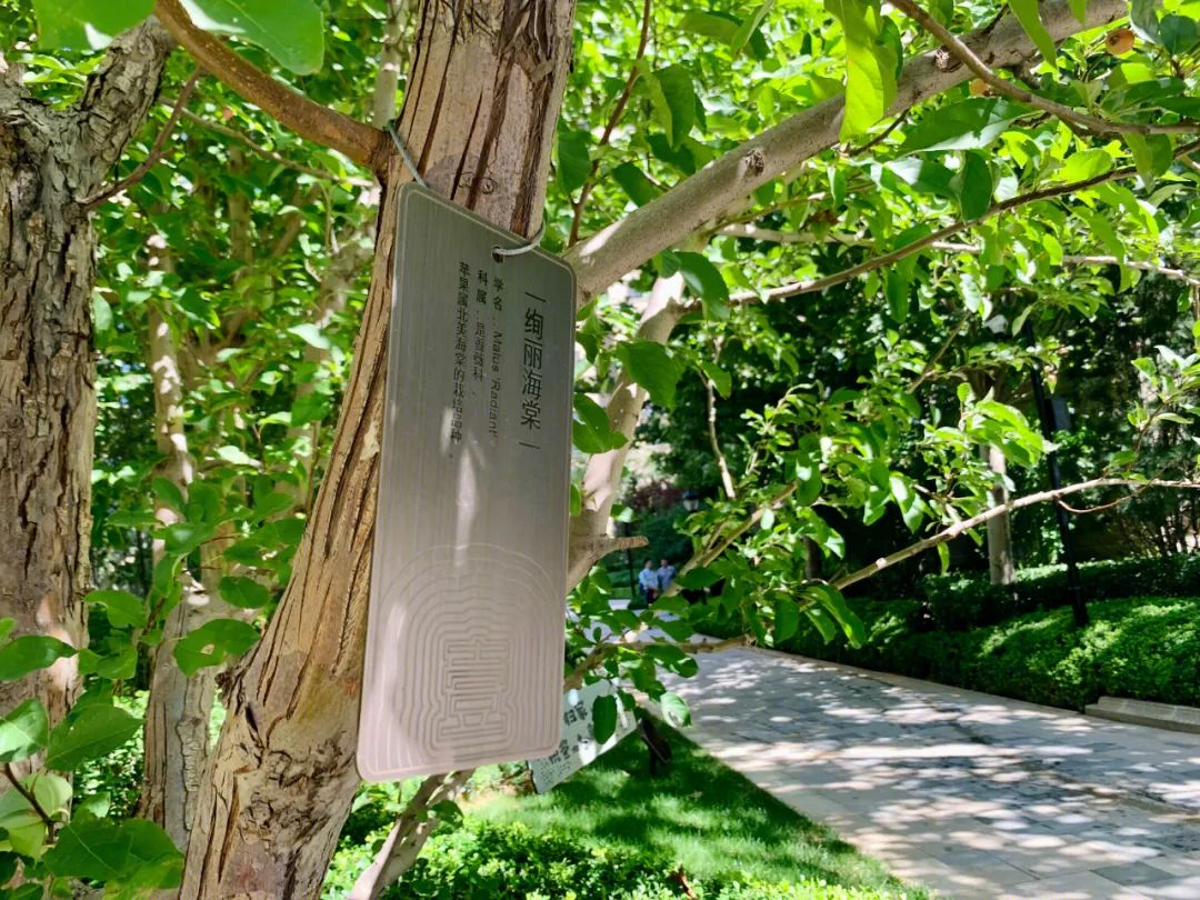 唐城壹零壹丨中国唐山丨西东设计(深圳)有限公司-41