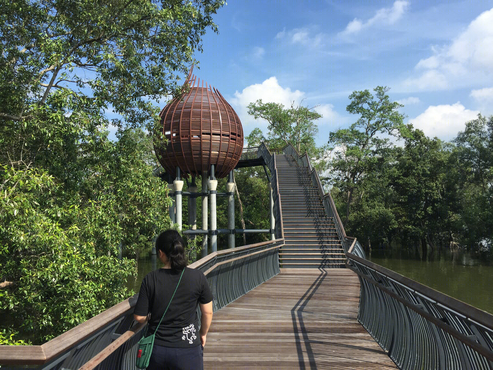 新加坡双溪布洛湿地公园丨戴水道设计-11