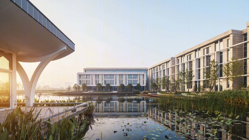 昆山杜克大学-11